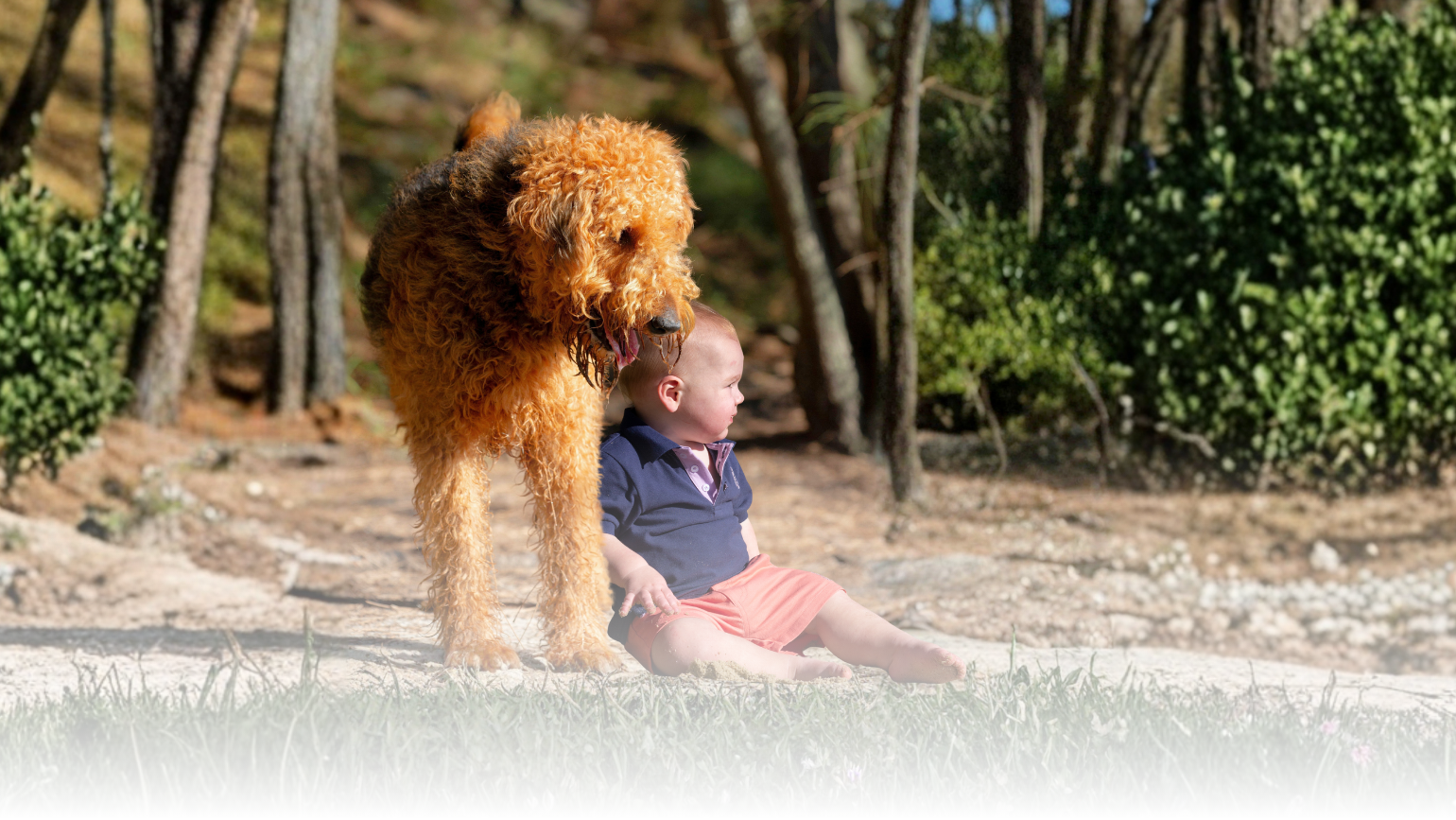 Dog and child sitting together on a path with trees and shrubs in the background